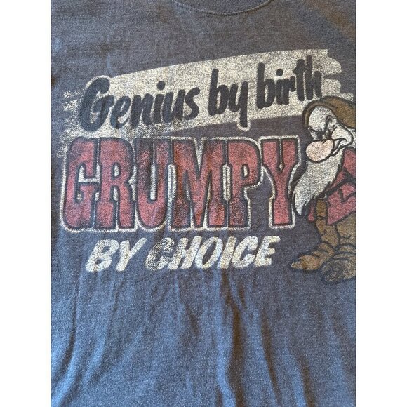 Disneyland & Disney World Grumpy Slogan Tee By Hanes Size Small - Picture 2 of 4